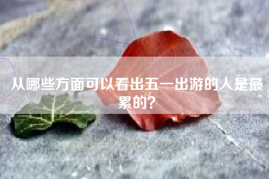 从哪些方面可以看出五一出游的人是最累的？